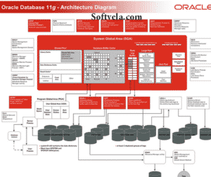 complete dbms in oracle 11g free